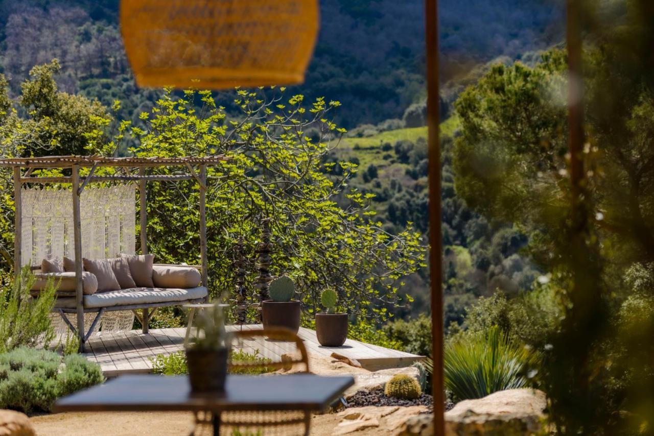 Terre De Maquis, Maison D'Hotes Vue Mer Corse Sari-D'orcino ภายนอก รูปภาพ