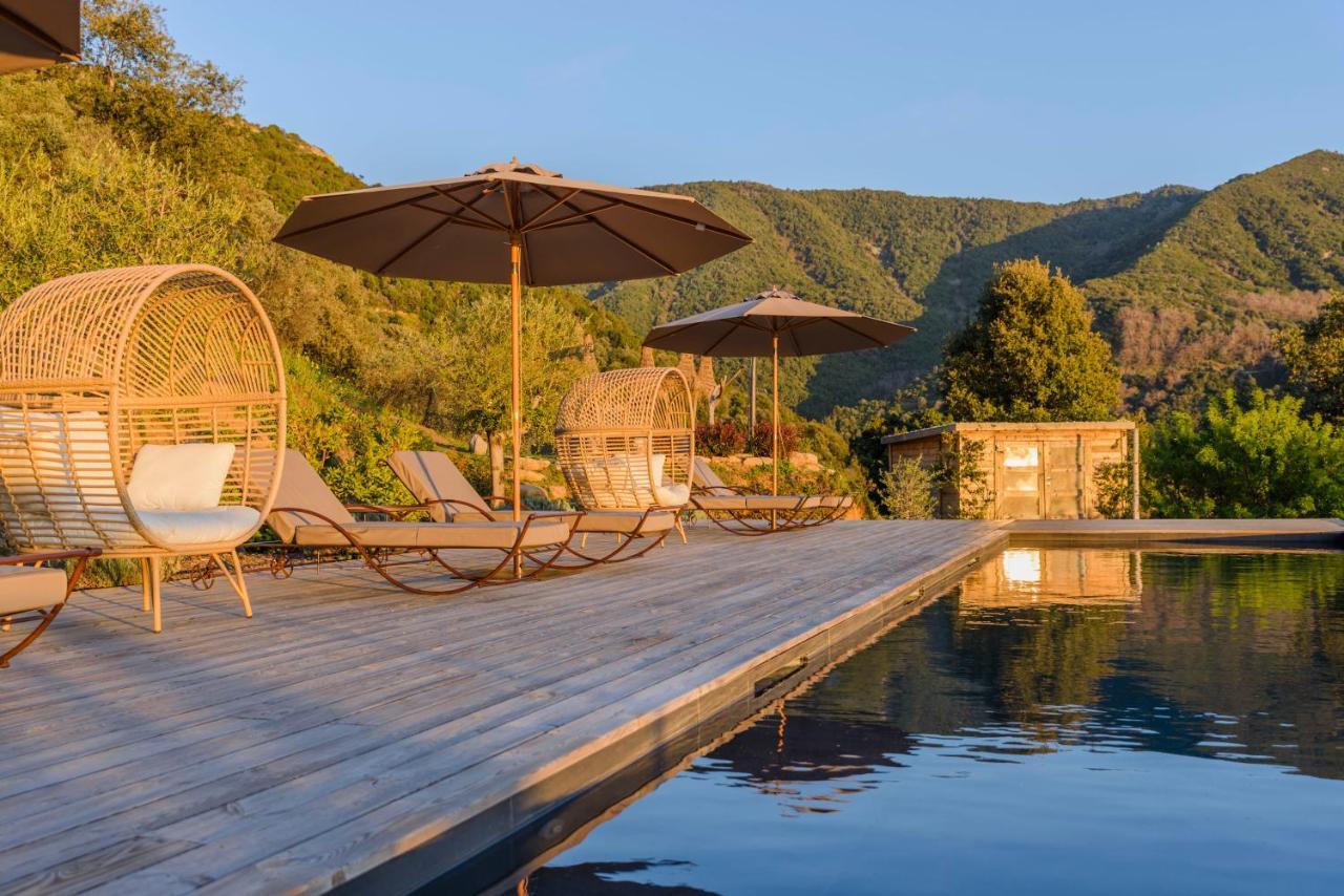 Terre De Maquis, Maison D'Hotes Vue Mer Corse Sari-D'orcino ภายนอก รูปภาพ