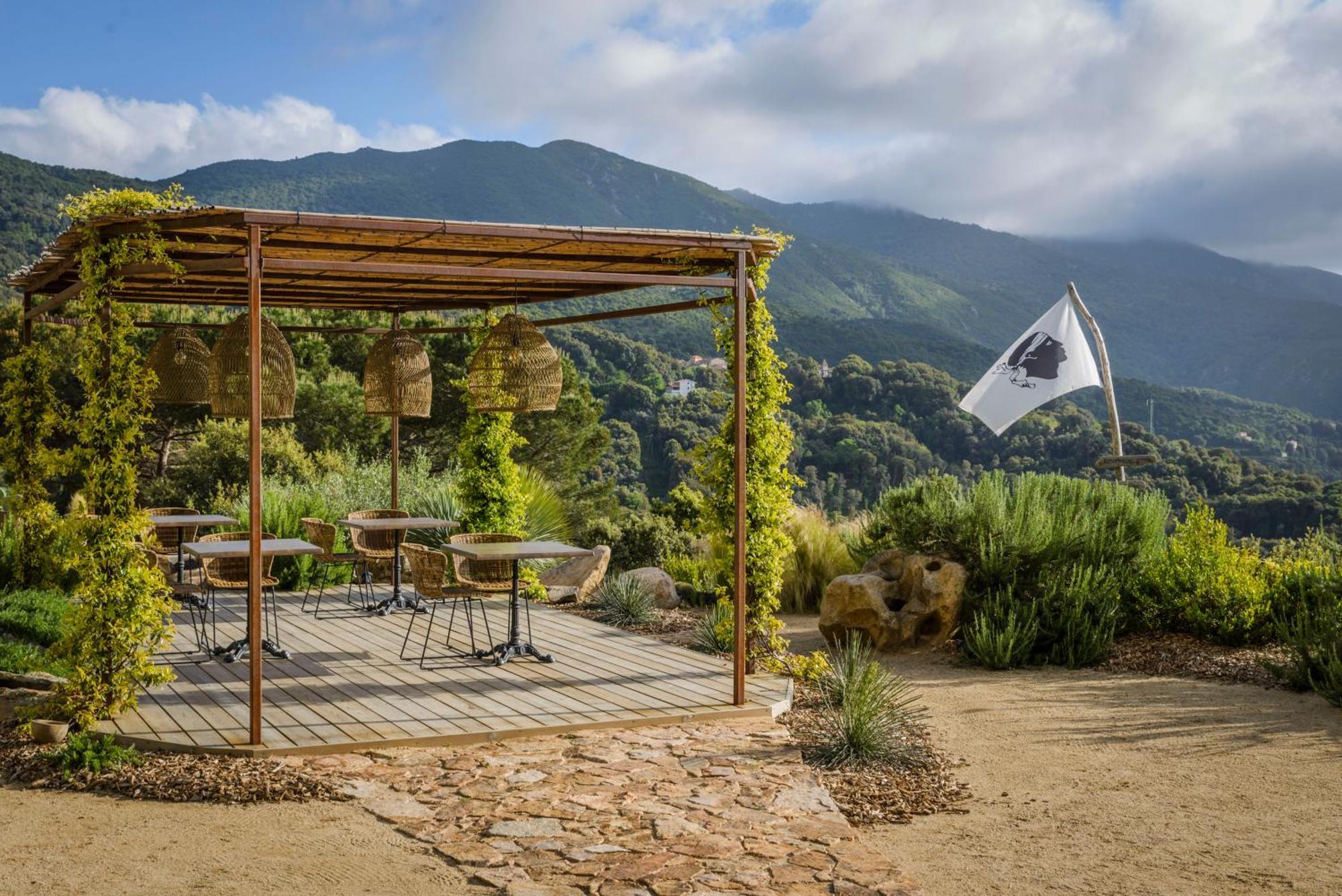 Terre De Maquis, Maison D'Hotes Vue Mer Corse Sari-D'orcino ภายนอก รูปภาพ