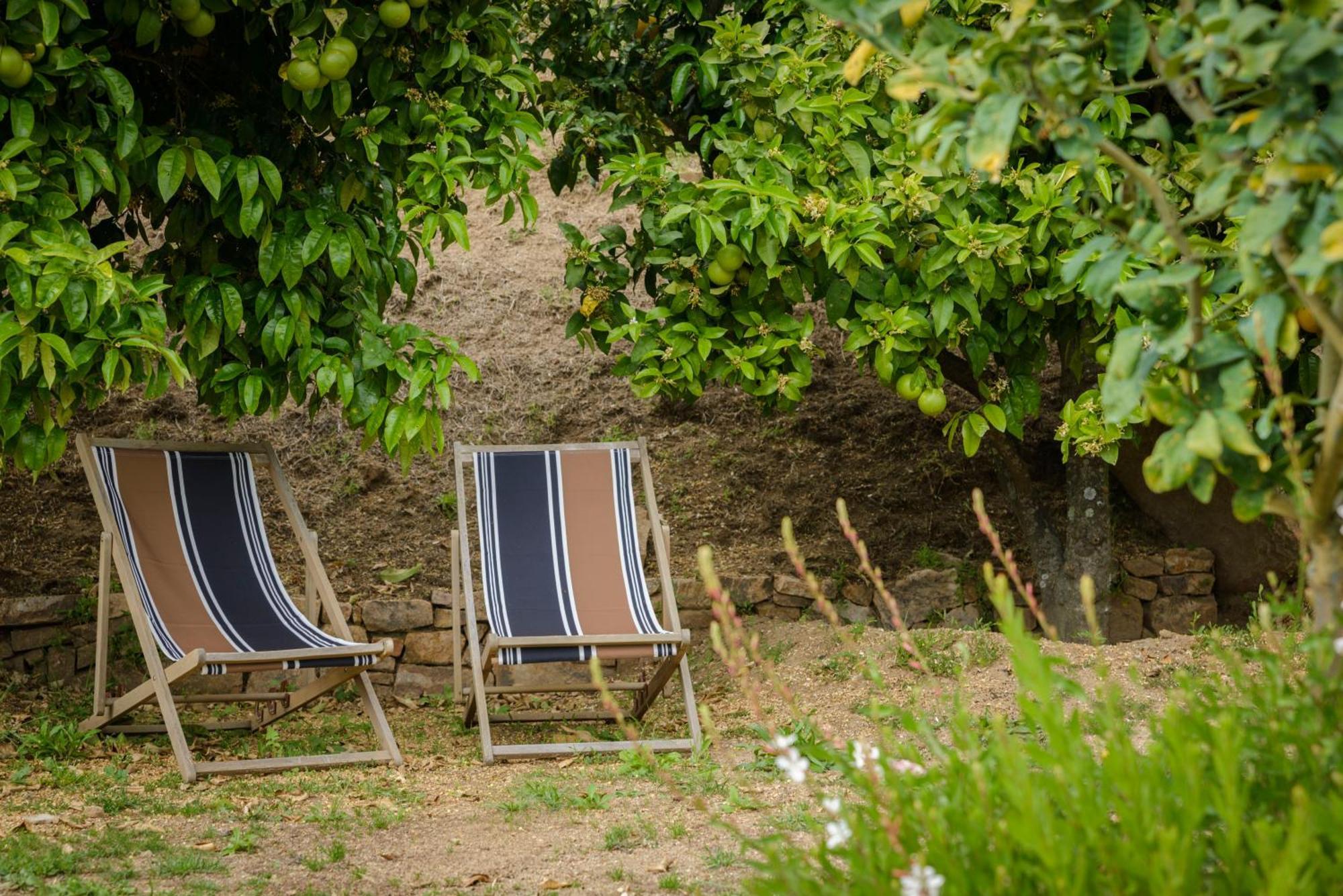 Terre De Maquis, Maison D'Hotes Vue Mer Corse Sari-D'orcino ภายนอก รูปภาพ